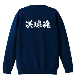 _10%OFFN[|^ nh{[ g[i[ XEFbg Y fB[X WjA pC K    ꖳ 100% LbY 傫TCY u  