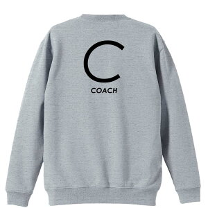 _10%OFFN[|^ nh{[ g[i[ XEFbg Y fB[X WjA pC K    ꖳ 100% LbY 傫TCY uC COACH Vv|