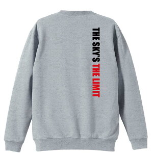 _10%OFFN[|^ nh{[ g[i[ XEFbg Y fB[X WjA pC K    ꖳ 100% LbY 傫TCY uE͂ȂA