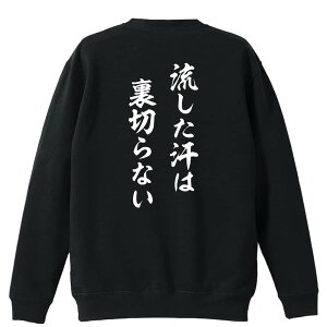 _10%OFFN[|^ oh~g g[i[ XEFbg Y fB[X WjA pC K    ꖳ 100% LbY 傫TCY u͗