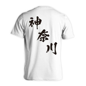 X|[cEFA tBbglX ^ TVc  Y fB[X WjA K hC  tVc  X|[c  q jq `[  ꖳ us{fU