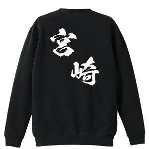 X|[cEFA tBbglX ^ g[i[ XEFbg Y fB[X WjA pC K    ꖳ 100% LbY 傫TCY us{fU