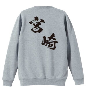 X|[cEFA tBbglX ^ g[i[ XEFbg Y fB[X WjA pC K    ꖳ 100% LbY 傫TCY us{fU