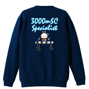 ㋣Z }\ jO g[i[ XEFbg Y fB[X WjA pC K    ꖳ 100% LbY 傫TCY u3000mSC Specialistv A