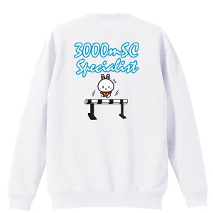 ㋣Z }\ jO g[i[ XEFbg Y fB[X WjA pC K    ꖳ 100% LbY 傫TCY u3000mSC Specialistv A