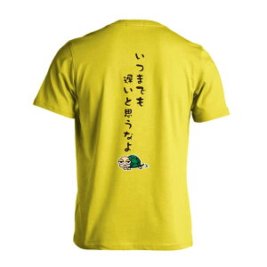 ㋣Z }\ jO TVc  Y fB[X WjA K hC  tVc  X|[c EFA  q jq `[  ꖳ u܂