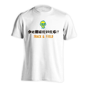 oXP TVc  Y fB[X WjA K hC  tVc  X|[c EFA  q jq `[  ꖳ uɉH΂Iv A[g[