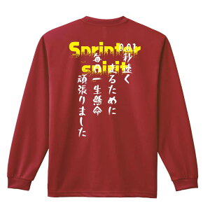 _10%OFFN[|^ ㋣Z }\ jO T TVc Y fB[X WjA K hC  tVc ӂ   LbY ꖳ u0.01b 