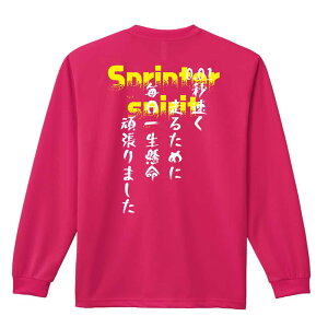 _10%OFFN[|^ ㋣Z }\ jO T TVc Y fB[X WjA K hC  tVc ӂ   LbY ꖳ u0.01b 