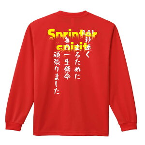 _10%OFFN[|^ ㋣Z }\ jO T TVc Y fB[X WjA K hC  tVc ӂ   LbY ꖳ u0.01b 