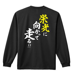 ㋣Z }\ jO T TVc Y fB[X WjA K hC  tVc ӂ   LbY ꖳ uhɌđIv A[