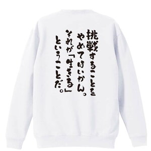 X|[cEFA tBbglX ^ g[i[ XEFbg Y fB[X WjA pC K    ꖳ 100% LbY 傫TCY u킷邱