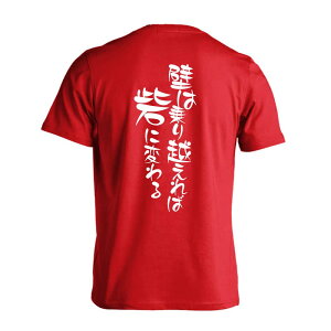 X|[cEFA tBbglX ^ TVc  Y fB[X WjA K hC  tVc  X|[c  q jq `[  ꖳ uǂ͏z