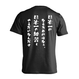 スポーツウェア フィットネス 運動 Tシャツ 半袖 メンズ レディース ジュニア 練習着 ドライ おもしろ tシャツ ふざけ 名入れ 文字入れ無料 「日本一になるためにはなぁ」 アートワークスコウベ 【送料無料】