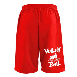 o[{[ n[tpc hC Y EFA fB[X WjA K Zp  X|[c   X{ ꖳ uo[{[J[gD[ ]єNv 