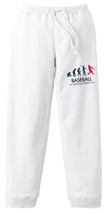 싅 XEFbgpc Y fB[X LbY pC XGbg [EFA X|[c 100 Y{   ꖳ ux[X{[G{[Vv A[g[N