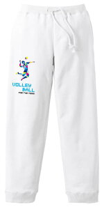 o[{[ XEFbgpc Y fB[X LbY pC XGbg [EFA X|[c 100 Y{   ꖳ u|SVGbg̃o[{[v 