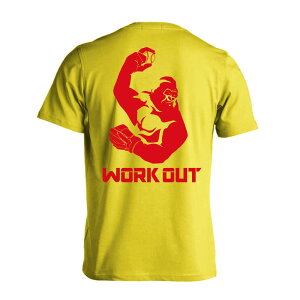 싅 TVc  Y fB[X WjA K hC  tVc  X|[c EFA  q jq `[  ꖳ uS[NAEg 싅 x[X{