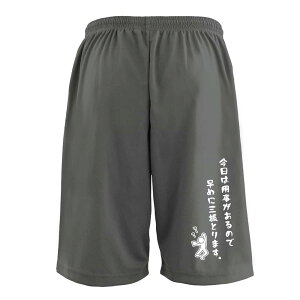 ソフトボール ハーフパンツ ドライ メンズ ウェア レディース ジュニア 練習着 短パン 速乾 スポーツ 名入れ おしゃれ 半スボン 文字入れ無料 「今日は用事があるので早めに三振とります。