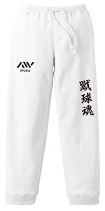 _10%OFFN[|^ TbJ[ XEFbgpc Y fB[X LbY pC XGbg [EFA X|[c 100 Y{   ꖳ uRv A[g[NX