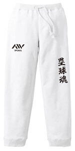 \tg{[ XEFbgpc Y fB[X LbY pC XGbg [EFA X|[c 100 Y{   ꖳ uۋv A[g[NXREx y