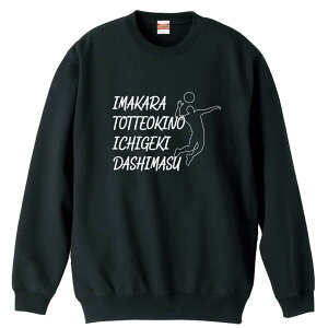 o[{[ g[i[ XEFbg Y fB[X WjA pC K    ꖳ 100% LbY 傫TCY uƂĂ̈ꌂv A[g[N