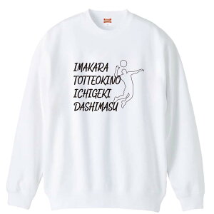 o[{[ g[i[ XEFbg Y fB[X WjA pC K    ꖳ 100% LbY 傫TCY uƂĂ̈ꌂv A[g[N