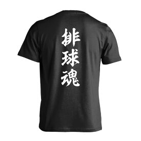 ＼10%OFFクーポン／ バレーボール Tシャツ 半袖 メンズ レディース ジュニア 練習着 ドライ おもしろ tシャツ 速乾 スポーツ ウェア 名入れ 女子 男子 チーム おしゃれ 文字入れ無料 「排球魂」 アートワークスコウベ 【送料無料】