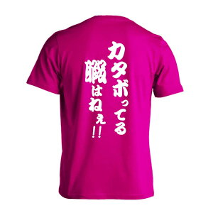 X|[cEFA tBbglX ^ TVc  Y fB[X WjA K hC  tVc  X|[c  q jq `[  ꖳ uJ^{Ă