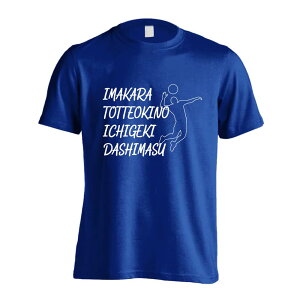 o[{[ TVc  Y fB[X WjA K hC  tVc  X|[c EFA  q jq `[  ꖳ uƂĂ̈ꌂv A[g