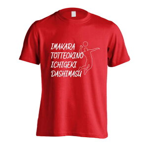 o[{[ TVc  Y fB[X WjA K hC  tVc  X|[c EFA  q jq `[  ꖳ uƂĂ̈ꌂv A[g