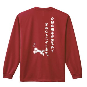 ���O�r�[ ����T ����T�V���c �����Y ���f�B�[�X �W���j�A ���K�� �h���C �������� t�V���c �ӂ��� ������ ������� �L�b�Y �������ꖳ�� �u�����͗p��������̂ő��߂Ƀg���C���܂��B�v �A�[