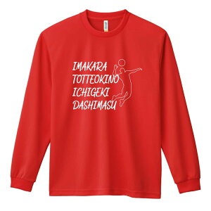 o[{[ T TVc Y fB[X WjA K hC  tVc ӂ   LbY ꖳ uƂĂ̈ꌂv A[g[NXREx y