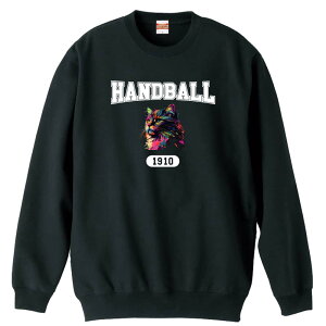 nh{[ g[i[ XEFbg Y fB[X WjA pC K    ꖳ 100% LbY 傫TCY ugȃC{[LHANDBALLS