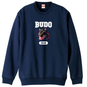 武道・格闘技 トレーナー スウェット メンズ レディース ジュニア 裏パイル 練習着 おもしろ 名入れ おしゃれ 文字入れ無料 綿100% キッズ 大きいサイズ 「レトロなレインボー猫とBUDOロゴ」
