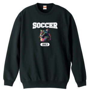 TbJ[ g[i[ XEFbg Y fB[X WjA pC K    ꖳ 100% LbY 傫TCY ugȃC{[LSOCCERSv A