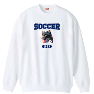 \10%OFFクーポン/ サッカー トレーナー スウェット メンズ レディース ジュニア 裏パイル 練習着 おもしろ 名入れ おしゃれ 文字入れ無料 綿100% キッズ 大きいサイズ 「レトロなレインボー