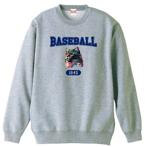 _X[p[SALE^ 싅 g[i[ XEFbg Y fB[X WjA pC K    ꖳ 100% LbY 傫TCY ugȃC{[L