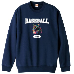 \10%OFFクーポン/ 野球 トレーナー スウェット メンズ レディース ジュニア 裏パイル 練習着 おもしろ 名入れ おしゃれ 文字入れ無料 綿100% キッズ 大きいサイズ 「レトロなレインボー猫とBA