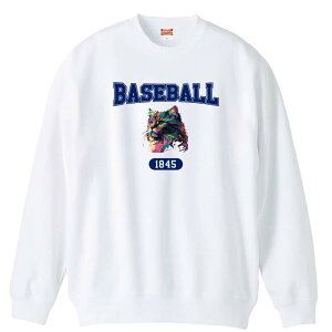 _X[p[SALE^ 싅 g[i[ XEFbg Y fB[X WjA pC K    ꖳ 100% LbY 傫TCY ugȃC{[L