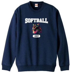 _X[p[SALE^ \tg{[ g[i[ XEFbg Y fB[X WjA pC K    ꖳ 100% LbY 傫TCY ugȃC