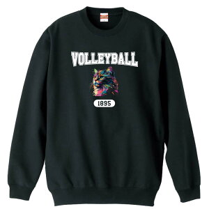 o[{[ g[i[ XEFbg Y fB[X WjA pC K    ꖳ 100% LbY 傫TCY ugȃC{[LVOLLEYBALL