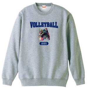 o[{[ g[i[ XEFbg Y fB[X WjA pC K    ꖳ 100% LbY 傫TCY ugȃC{[LVOLLEYBALL