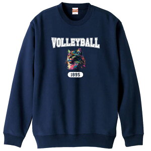 _X[p[SALE^ o[{[ g[i[ XEFbg Y fB[X WjA pC K    ꖳ 100% LbY 傫TCY ugȃC