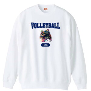 _10%OFFN[|^ o[{[ g[i[ XEFbg Y fB[X WjA pC K    ꖳ 100% LbY 傫TCY ugȃC