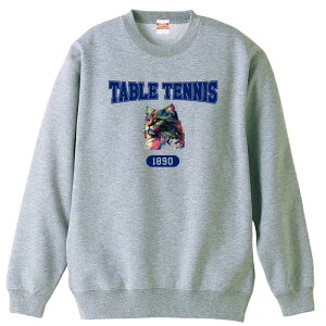 싅 g[i[ XEFbg Y fB[X WjA pC K    ꖳ 100% LbY 傫TCY ugȃC{[LTABLE TENNISSv A