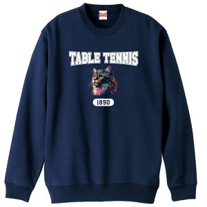 _10%OFFN[|^ 싅 g[i[ XEFbg Y fB[X WjA pC K    ꖳ 100% LbY 傫TCY ugȃC{[LTA