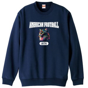 \10%OFFクーポン/ アメフト トレーナー スウェット メンズ レディース ジュニア 裏パイル 練習着 おもしろ 名入れ おしゃれ 文字入れ無料 綿100% キッズ 大きいサイズ 「レトロなレインボー
