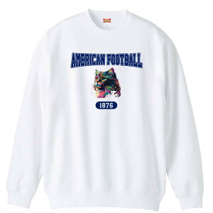 _X[p[SALE^ Atg g[i[ XEFbg Y fB[X WjA pC K    ꖳ 100% LbY 傫TCY ugȃC{