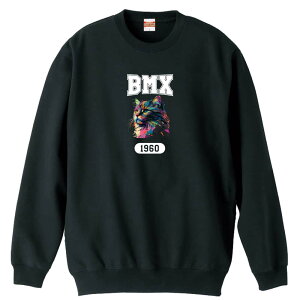 r[GGbNX BMX g[i[ XEFbg Y fB[X WjA pC K    ꖳ 100% LbY 傫TCY ugȃC{[LBMX